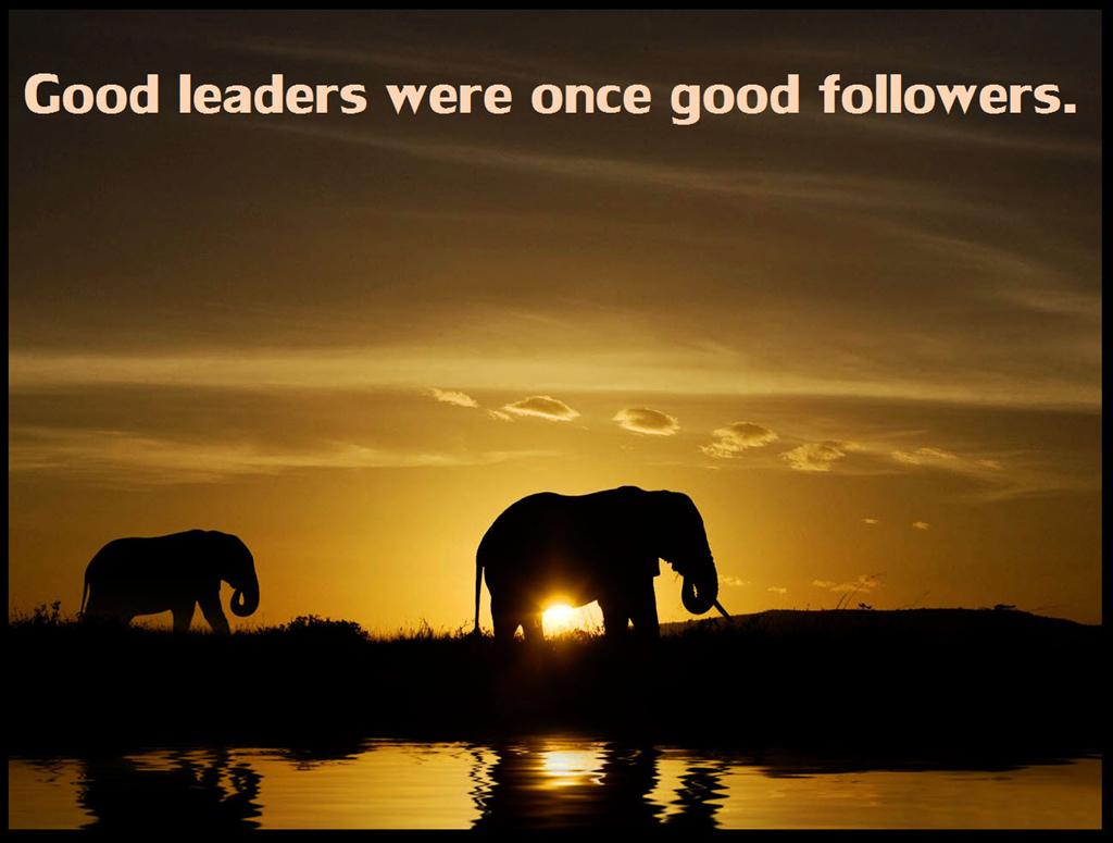 Good Leaders Were Once Good Followers Leadership Inspirational